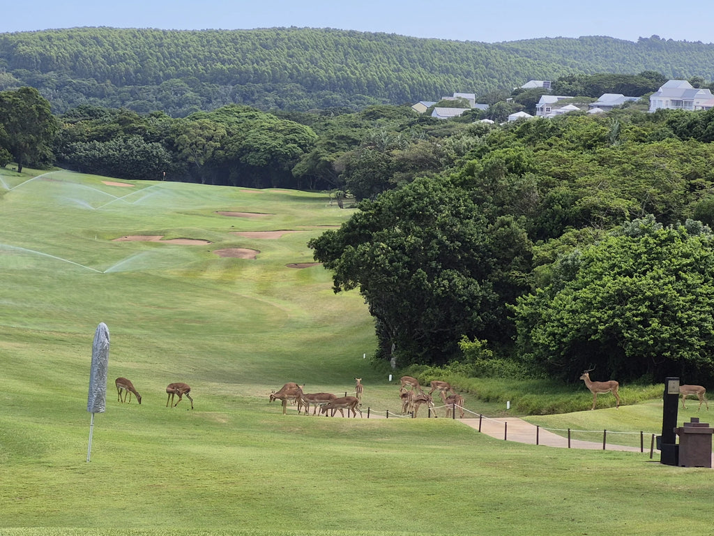 The Lodge at Prince's Grant, KwaDukuza South Africa