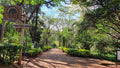 The Nairobi Arboretum, Nairobi Kenya