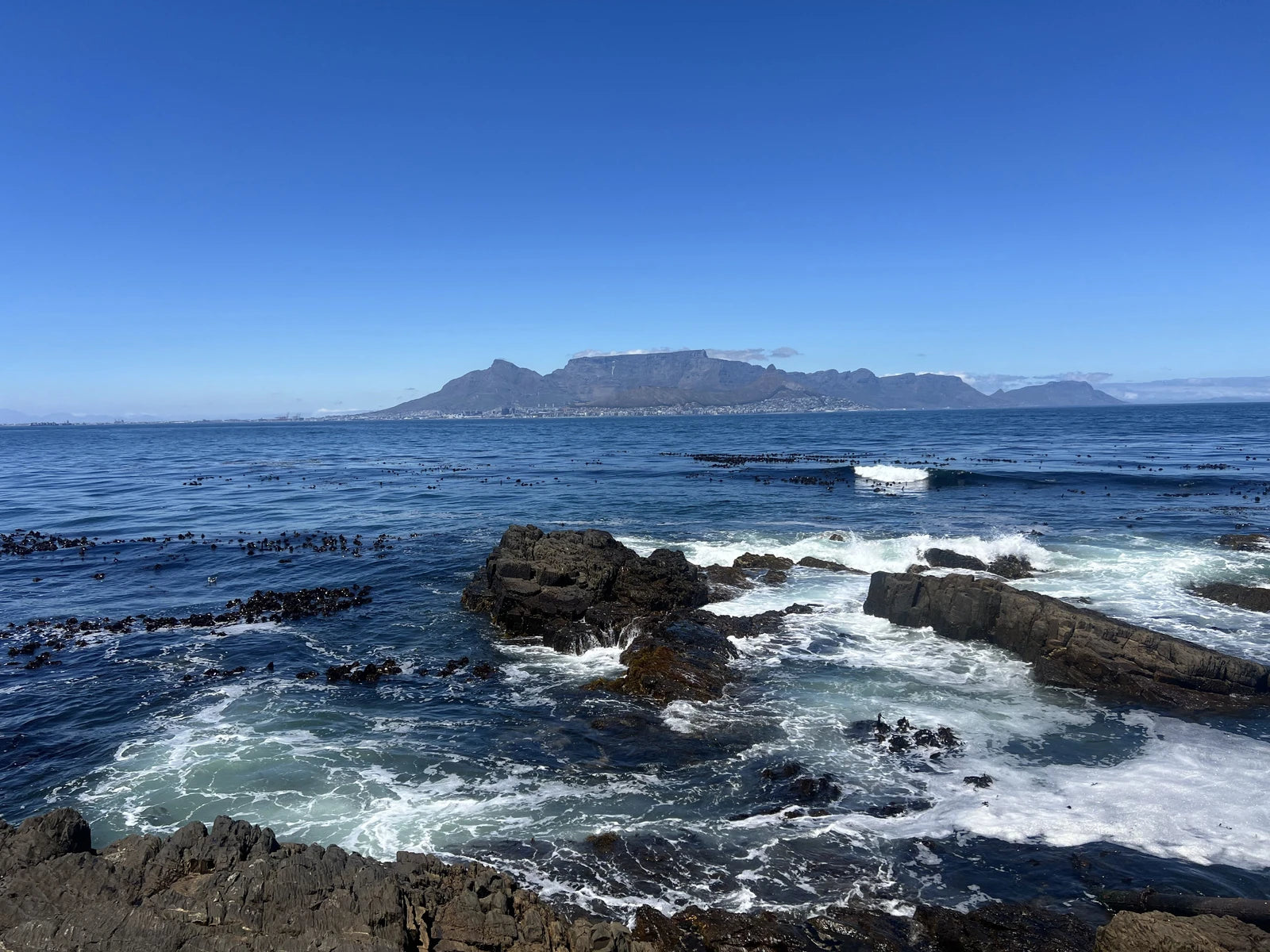 The Nelson Mandela Gateway To Robben Island, Victoria & Alfred Waterfront South Africa