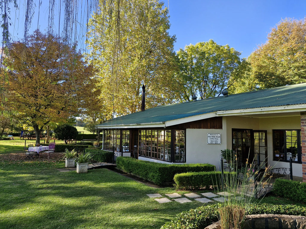 The Olde Duck, Drakensberg Gardens Road South Africa