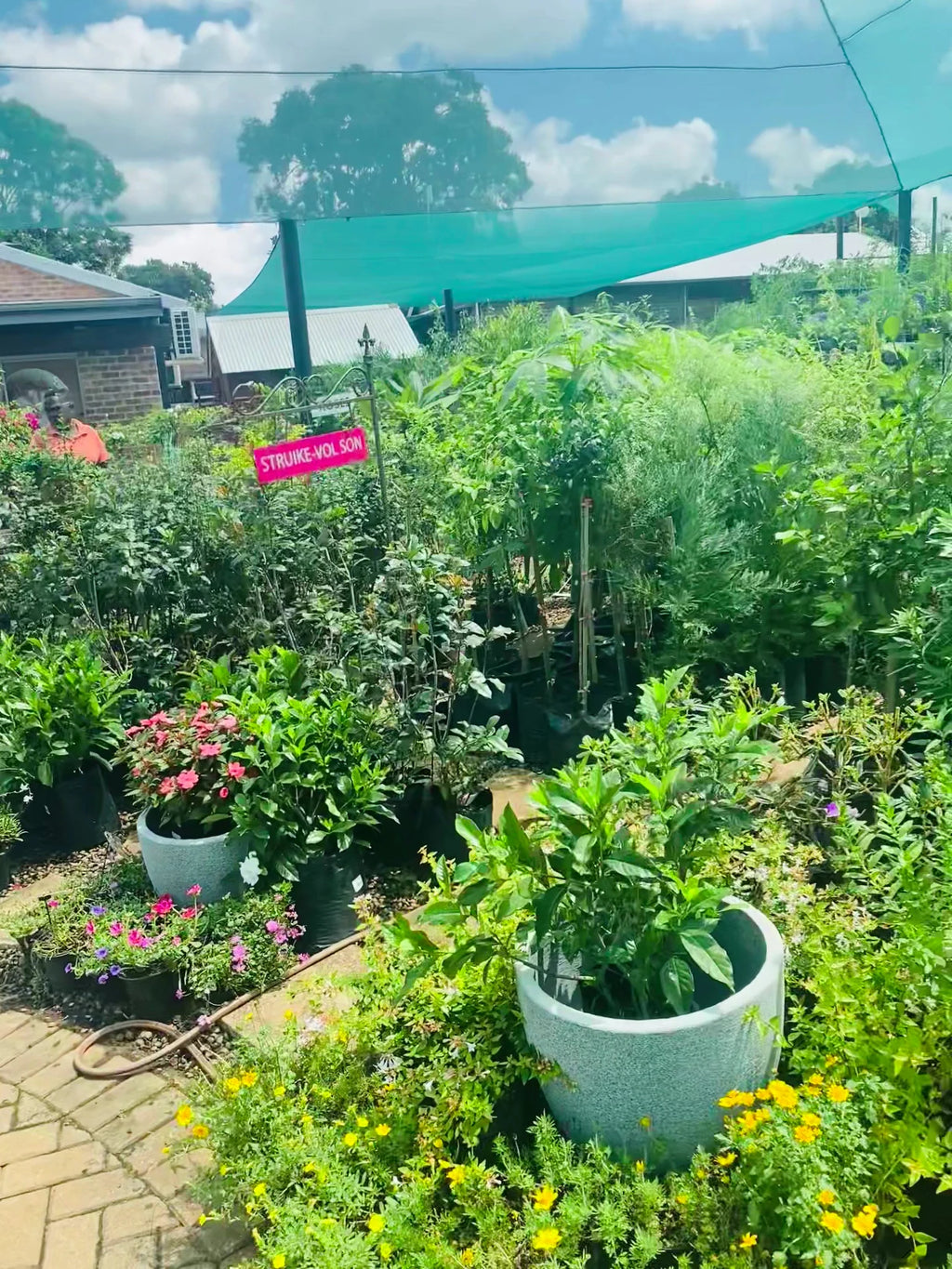 The Olive Tree Coffee & Gifts, Tzaneen South Africa