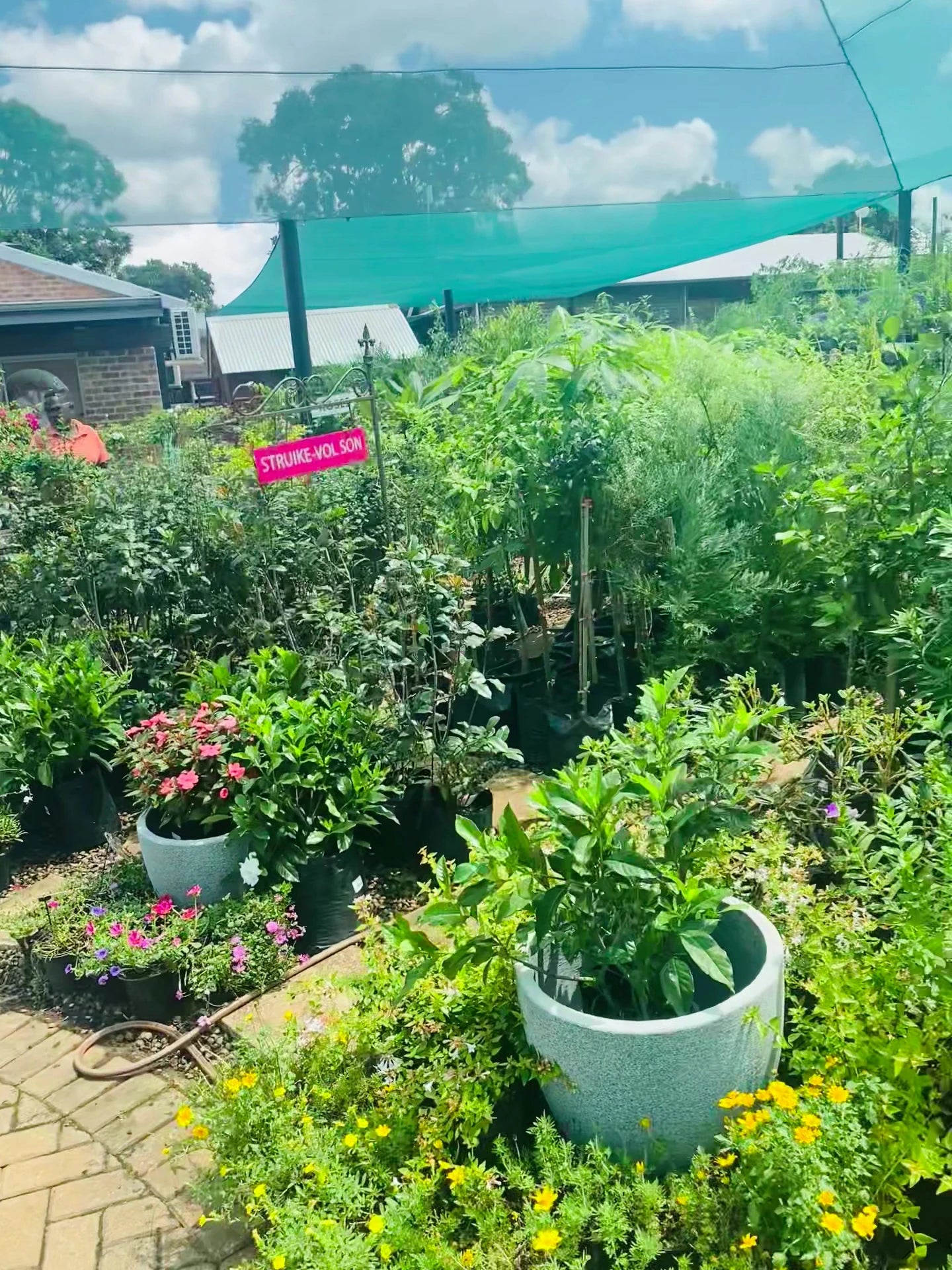 The Olive Tree Coffee & Gifts, Tzaneen South Africa