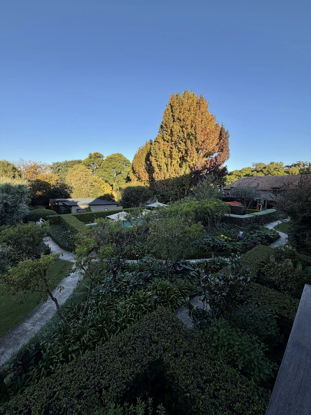 The Peech Hotel, Johannesburg South Africa