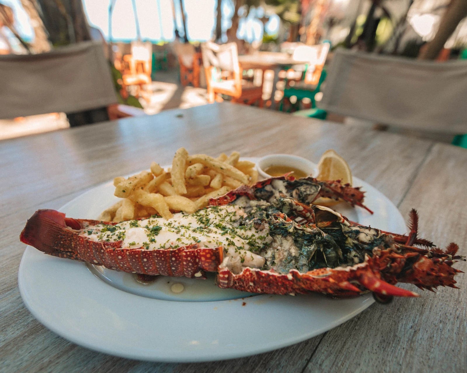 The Salty Squid Beach Bar & Restaurant, Diani Kenya