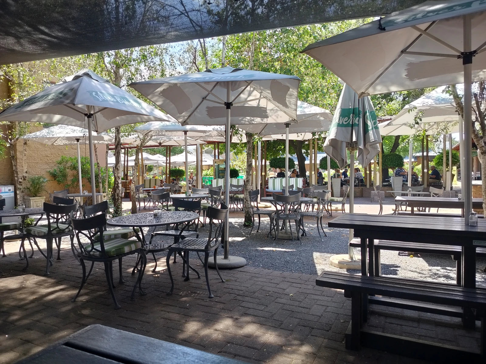 The Silver Birch, Johannesburg South Africa