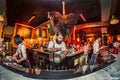 The Village Idiot, Cape Town South Africa