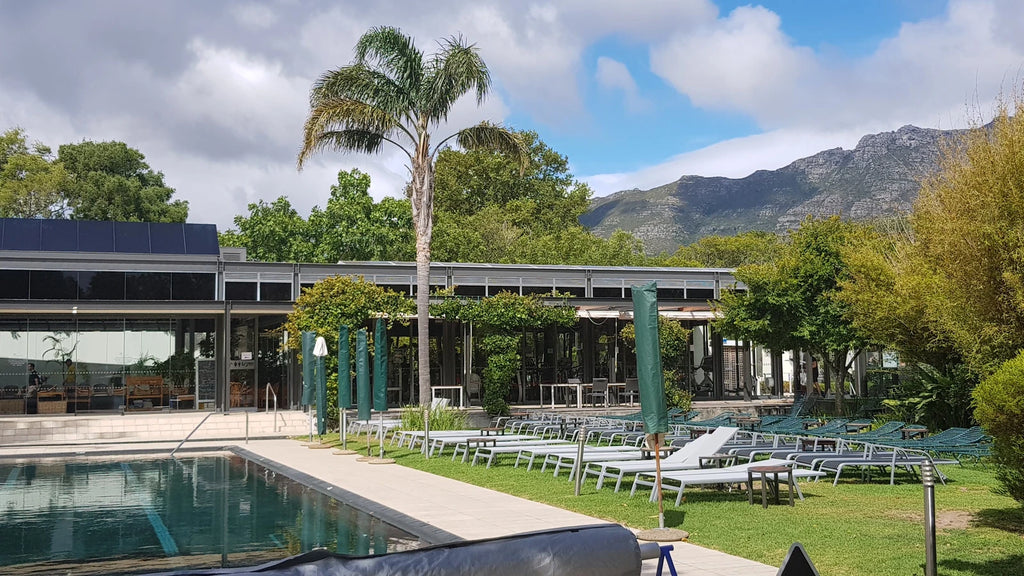 The Vineyard, Cape Town South Africa