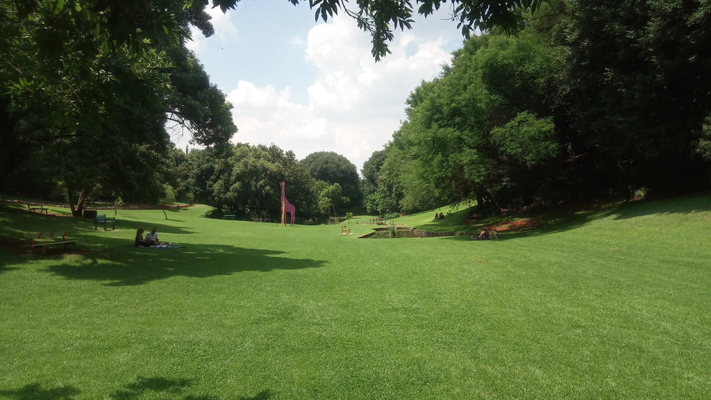 The Wilds - East Wilds, Johannesburg South Africa