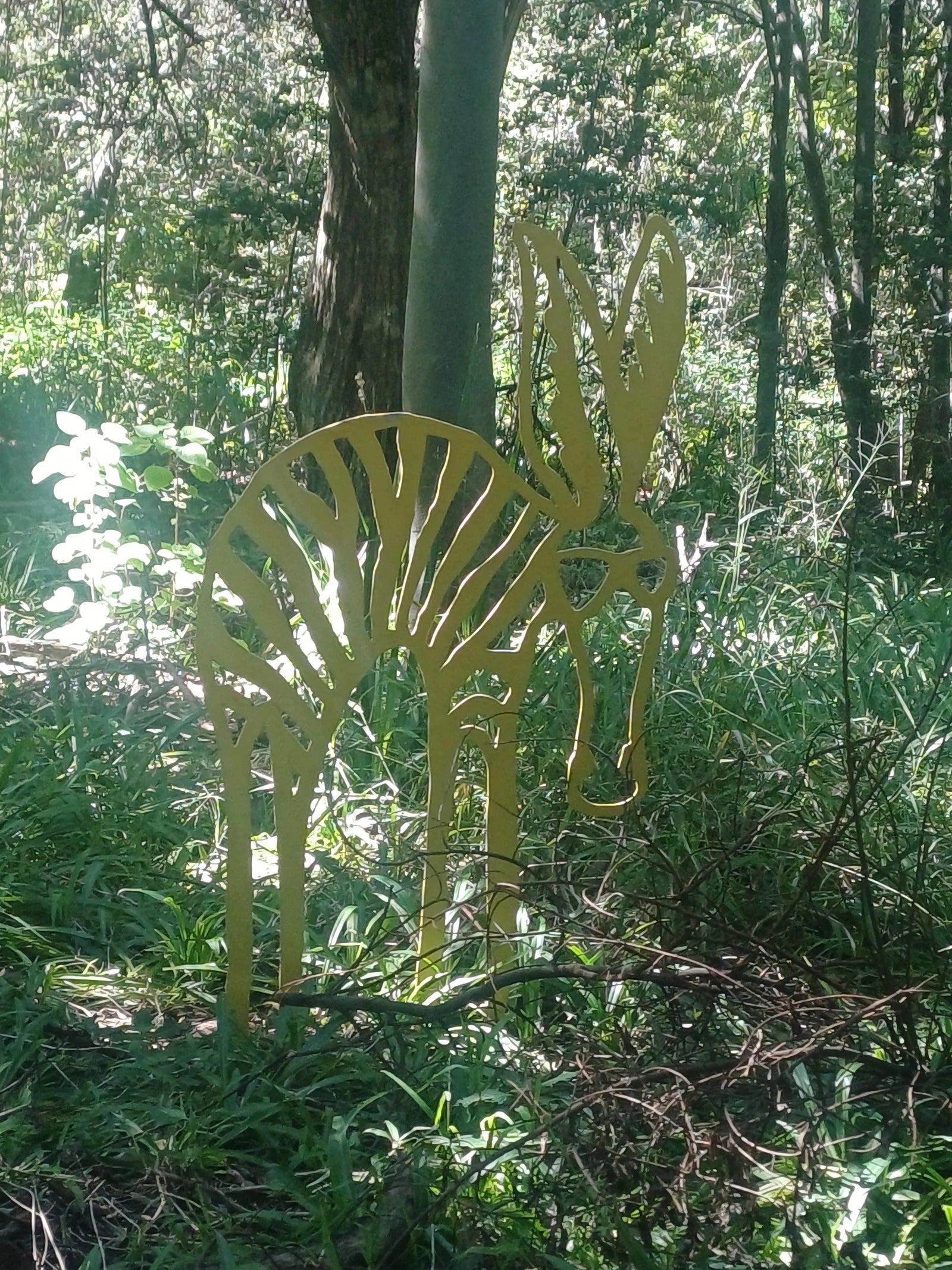 The Wilds Nature Reserve, Johannesburg South Africa