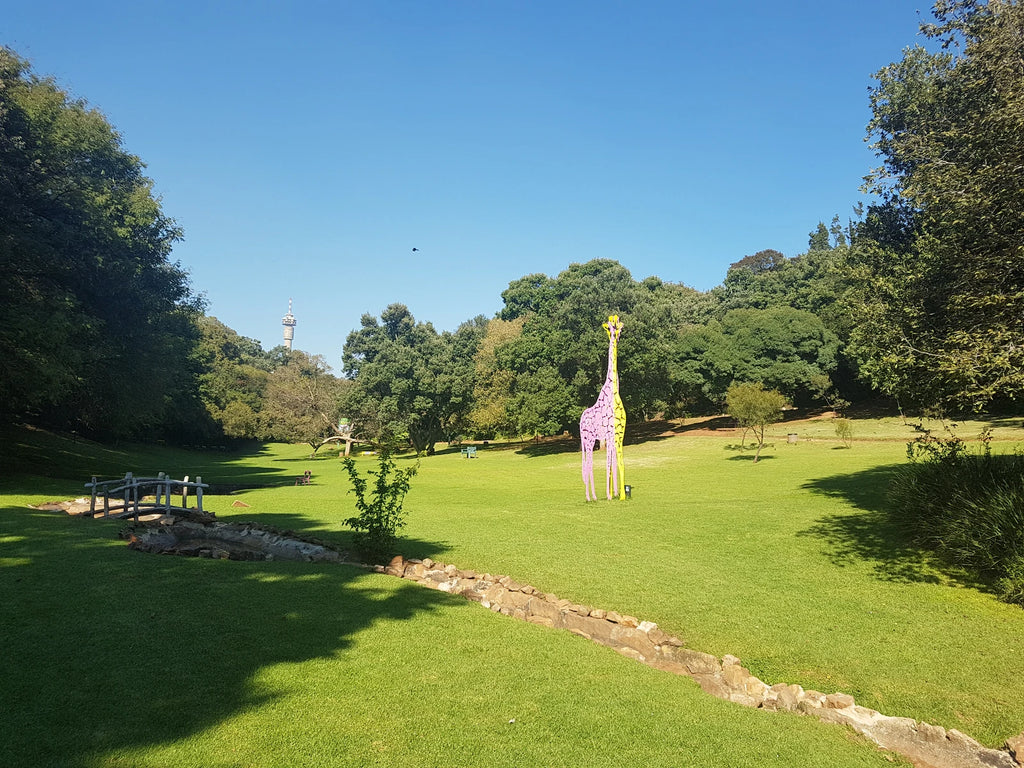 The Wilds Nature Reserve, Johannesburg South Africa