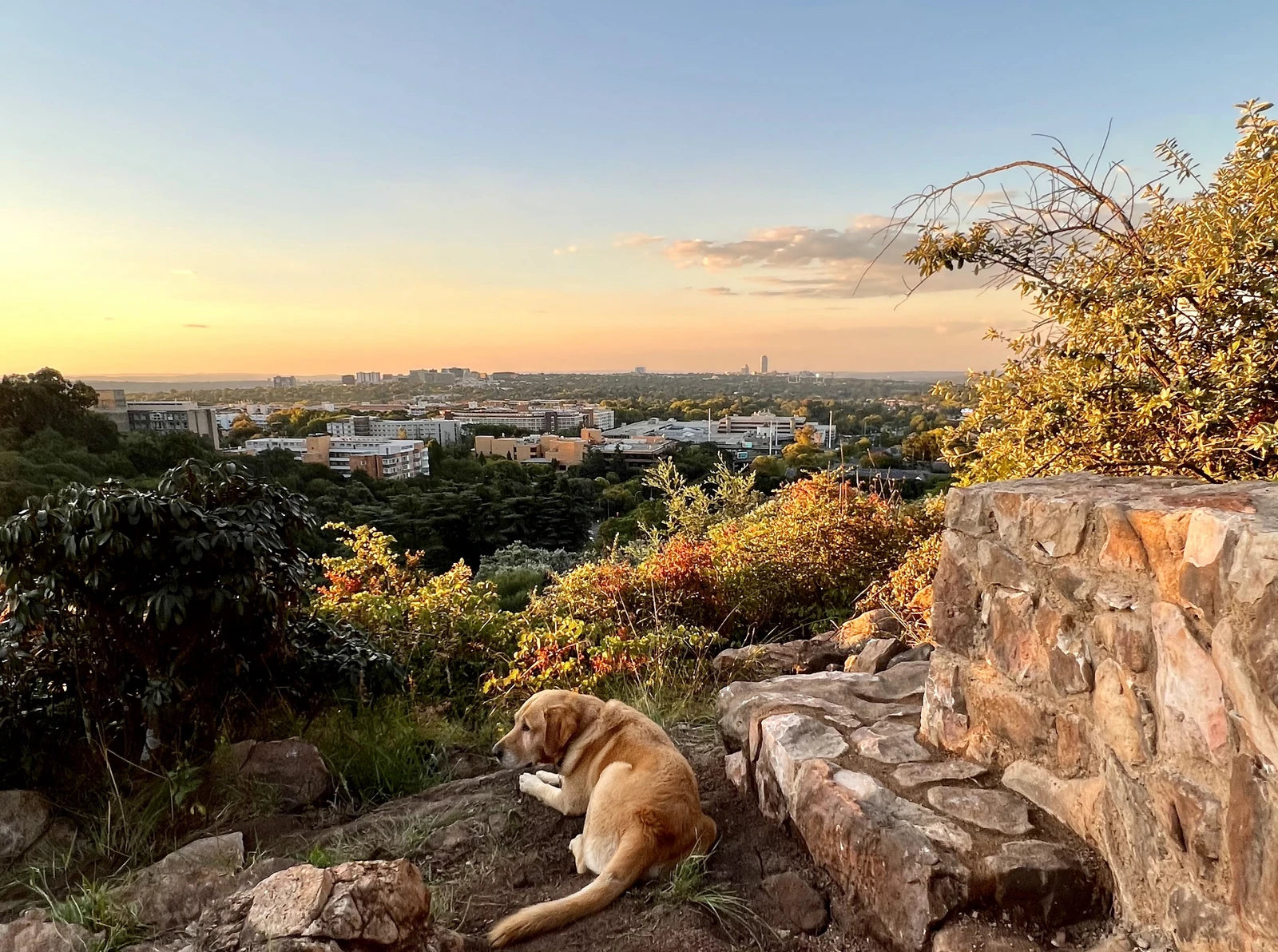 The Wilds Nature Reserve, Johannesburg South Africa