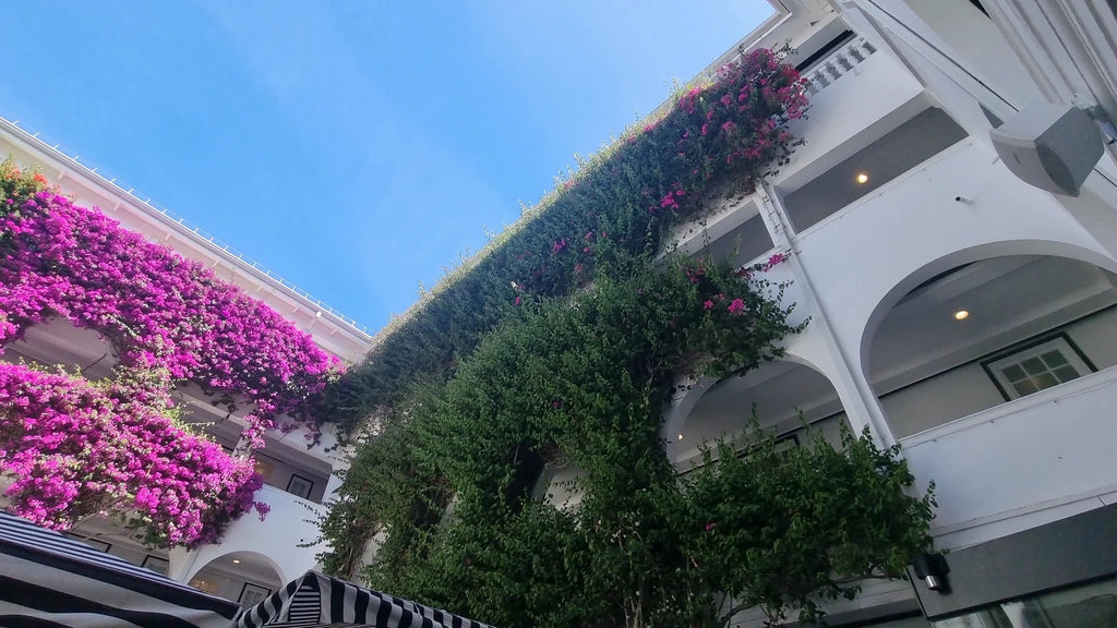 The Winchester Boutique Hotel Cape Town, Cape Town South Africa