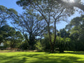 Thohoyandou Botanical Garden, Thohoyandou South Africa
