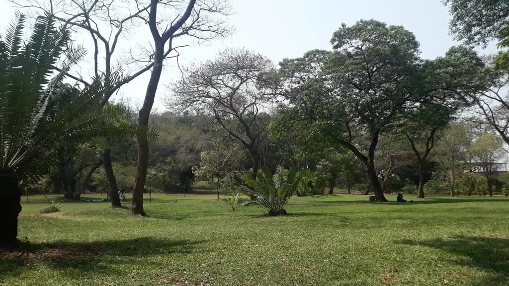 Thohoyandou Botanical Garden, Thohoyandou South Africa