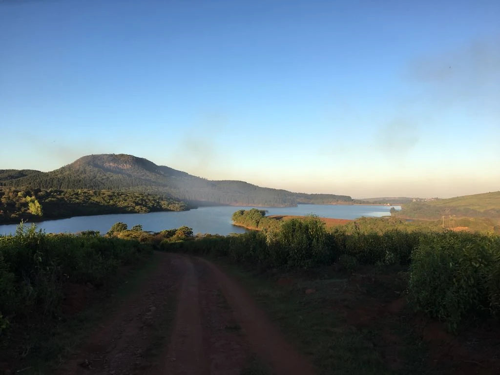 Thohoyandou Botanical Garden, Thohoyandou South Africa