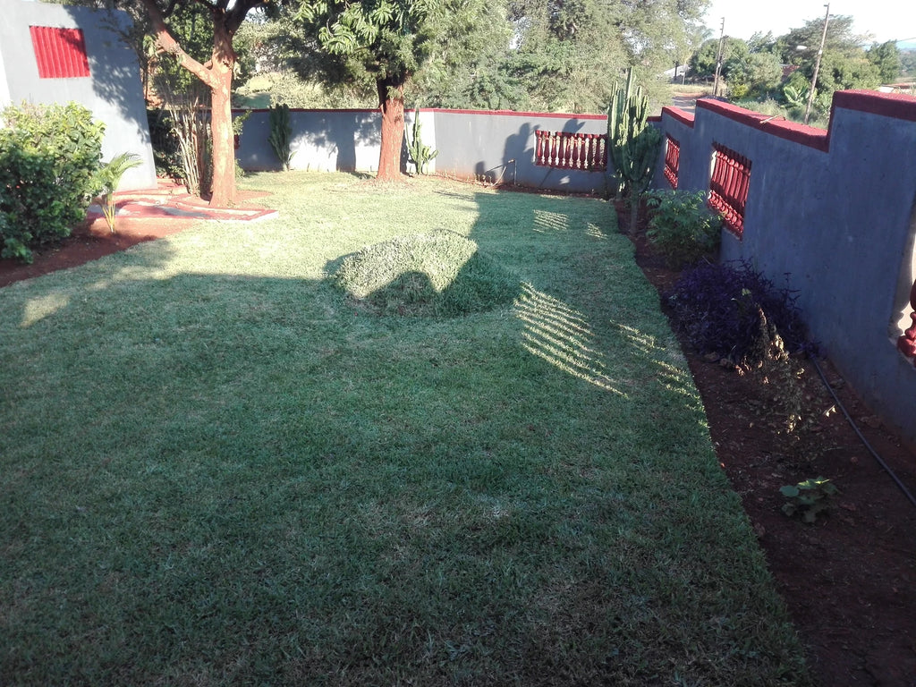 Thohoyandou Botanical Garden, Thohoyandou South Africa
