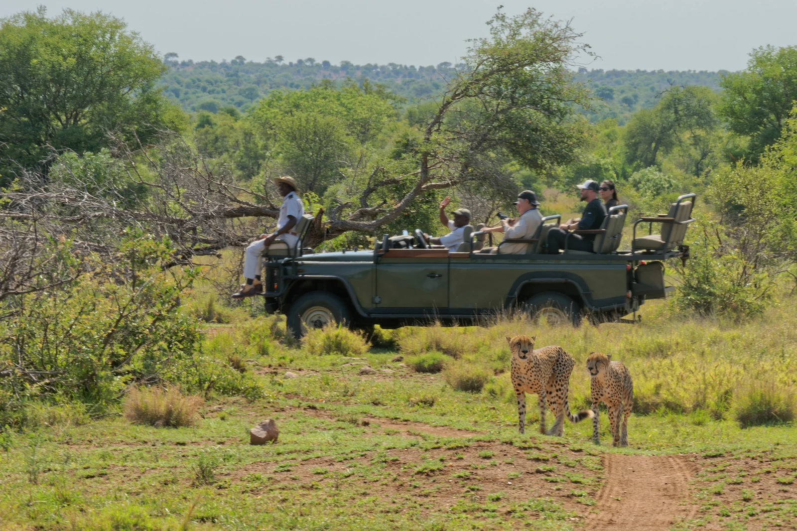 Timbavati Private Nature Reserve, 
Hoedspruit South Africa