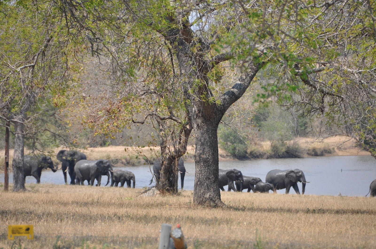 Timbavati Private Nature Reserve, 
Hoedspruit South Africa