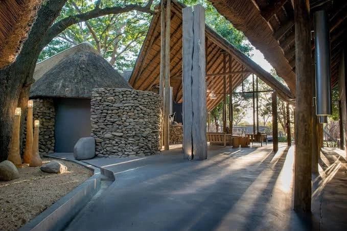 Timbavati Private Nature Reserve, 
Hoedspruit South Africa