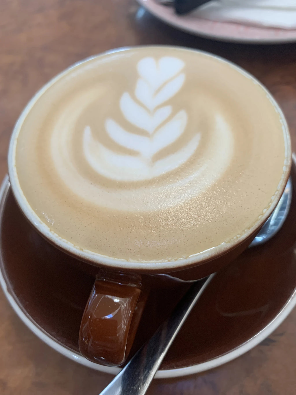 Timeless Coffee Shop, Cape Town South Africa