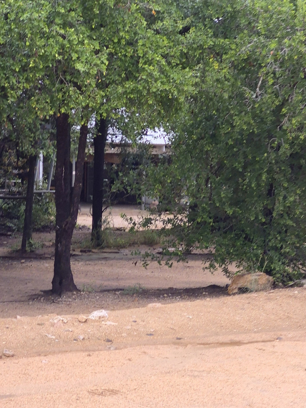 Tindlovu Boskombuis @ Afsaal Picnic Site, 
Afsaal Picnic Site South Africa
