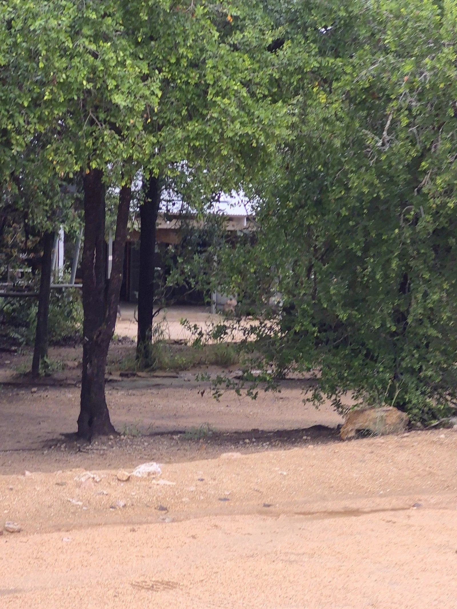 Tindlovu Boskombuis @ Afsaal Picnic Site, 
Afsaal Picnic Site South Africa