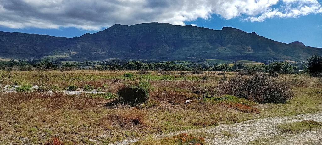 Tokai Park, Cape Town South Africa