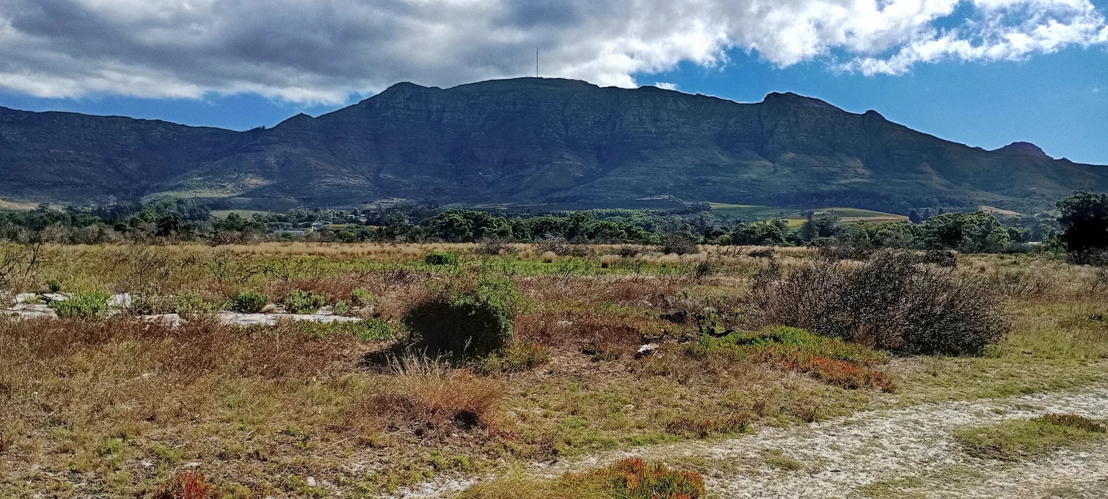 Tokai Park, Cape Town South Africa