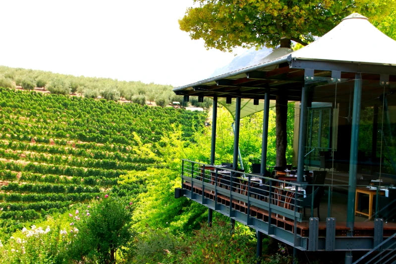 Tokara Wine Estate, Cape Town South Africa