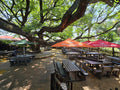 Toureiro House of Prawns, Pretoria South Africa