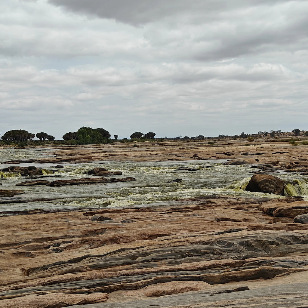 Tsavo East National Park,  Kenya