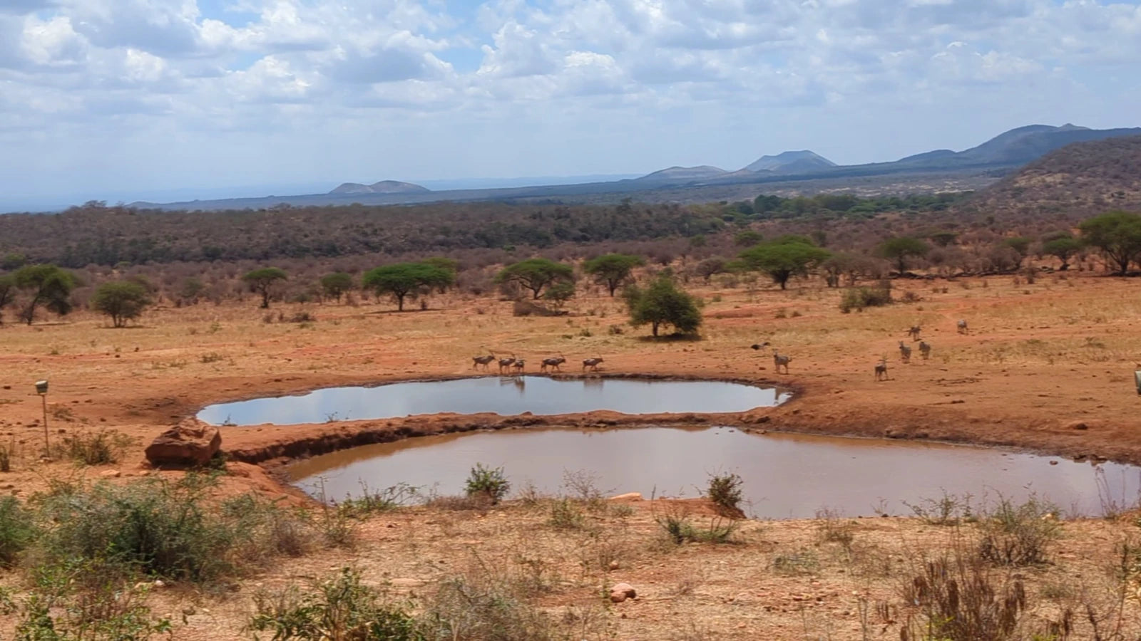 Tsavo West National Park,  Kenya