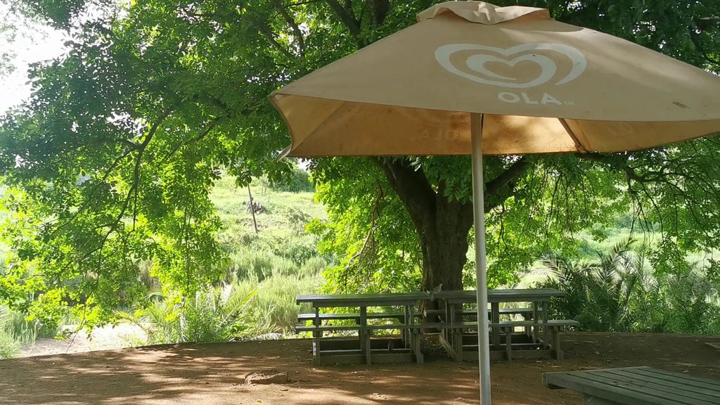 Tshokwane Trading Post & Picnic Site, Tshokwane Picnic Rd South Africa
