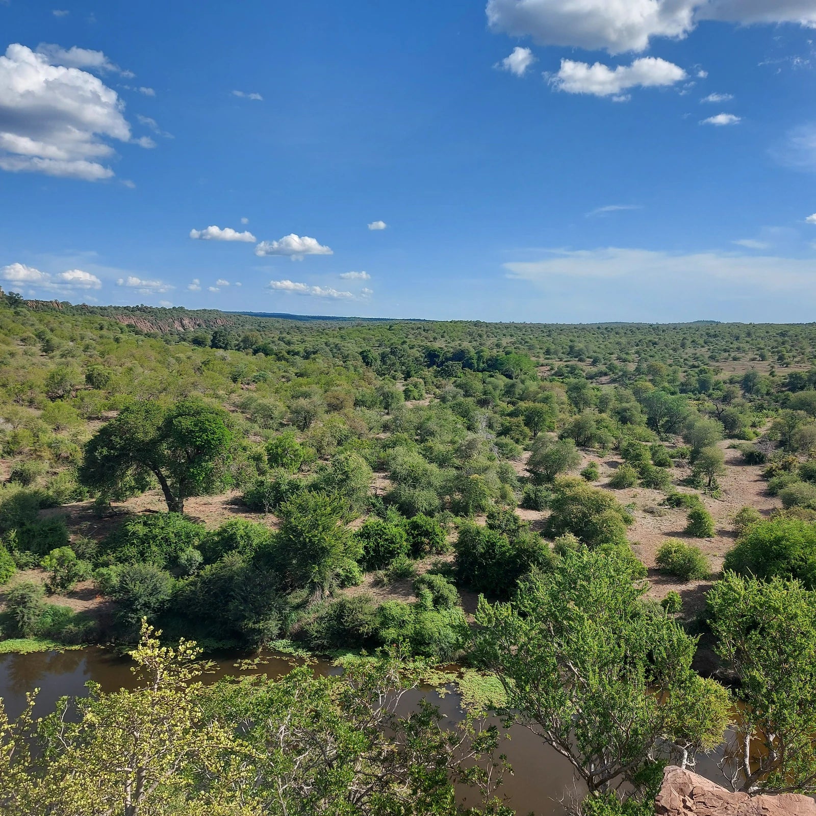 Tshokwane Trading Post & Picnic Site, Tshokwane Picnic Rd South Africa