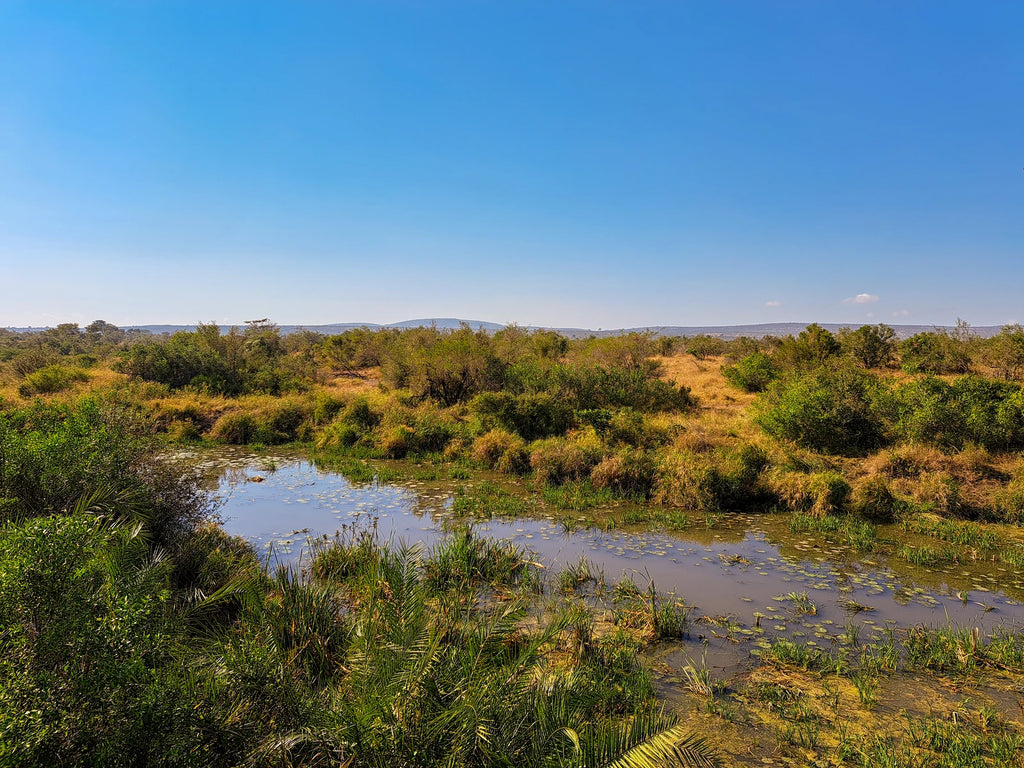 Tshokwane Trading Post & Picnic Site, Tshokwane Picnic Rd South Africa