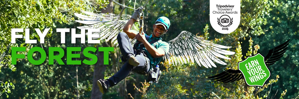 Tsitsikamma Canopy Tours, Stormsrivier South Africa