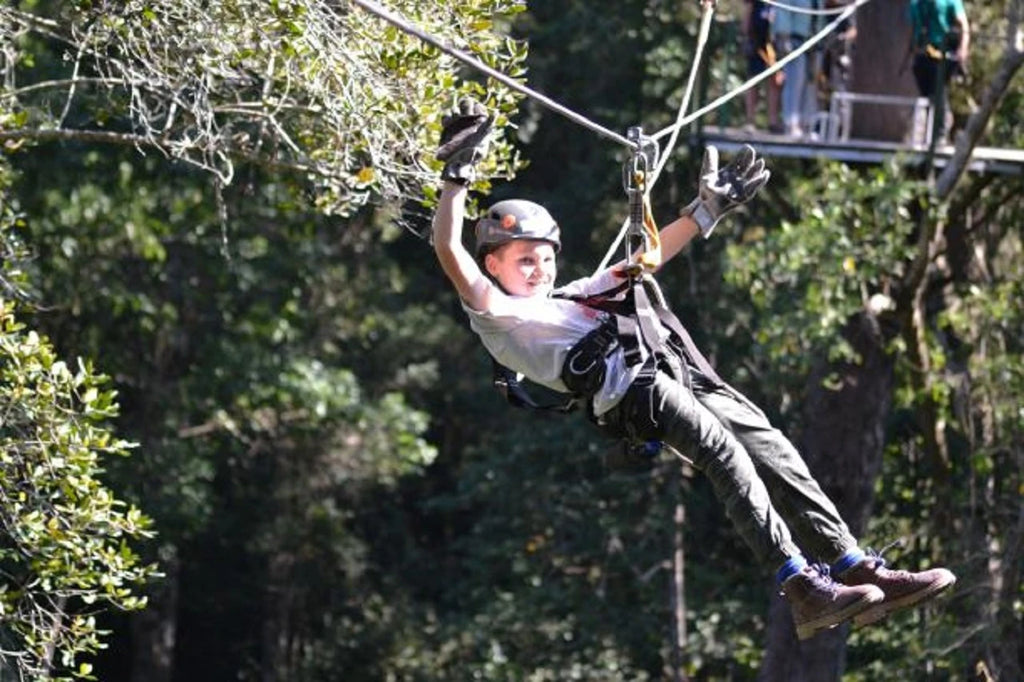 Tsitsikamma Canopy Tours, Stormsrivier South Africa