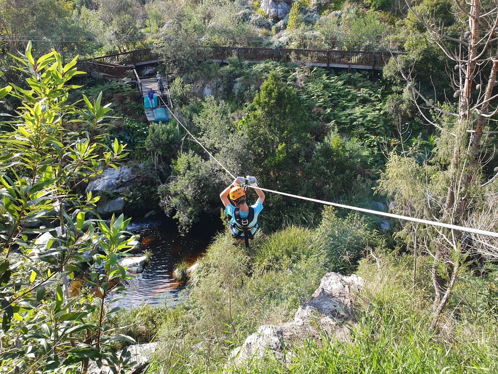 Tsitsikamma Canopy Tours, Stormsrivier South Africa