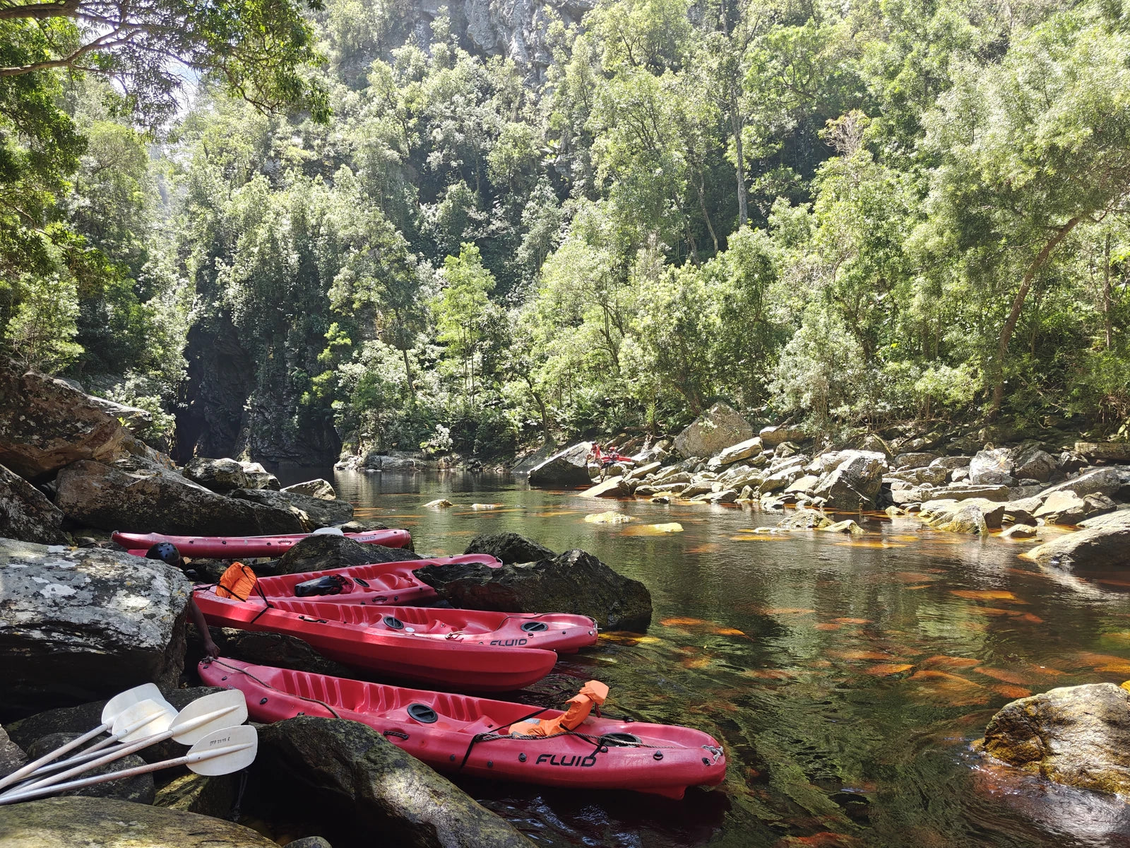 Tsitsikamma Canopy Tours, Stormsrivier South Africa