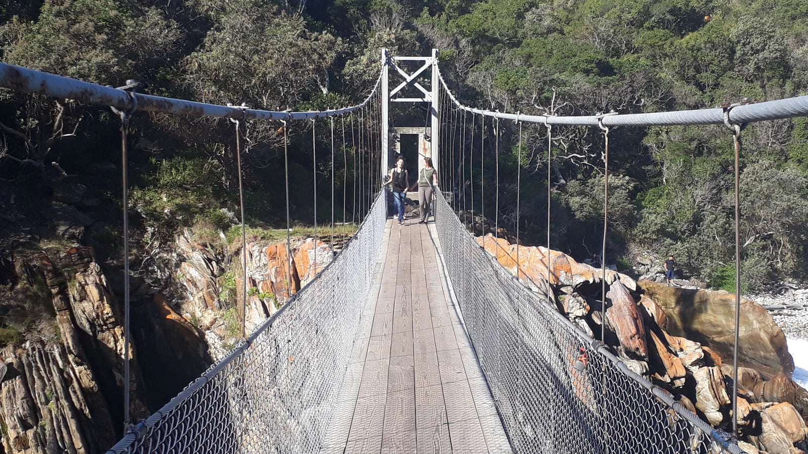 Tsitsikamma National Park,  South Africa