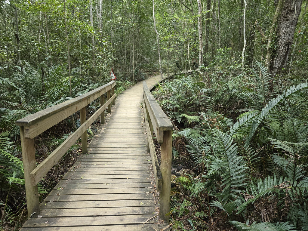 Tsitsikamma National Park,  South Africa