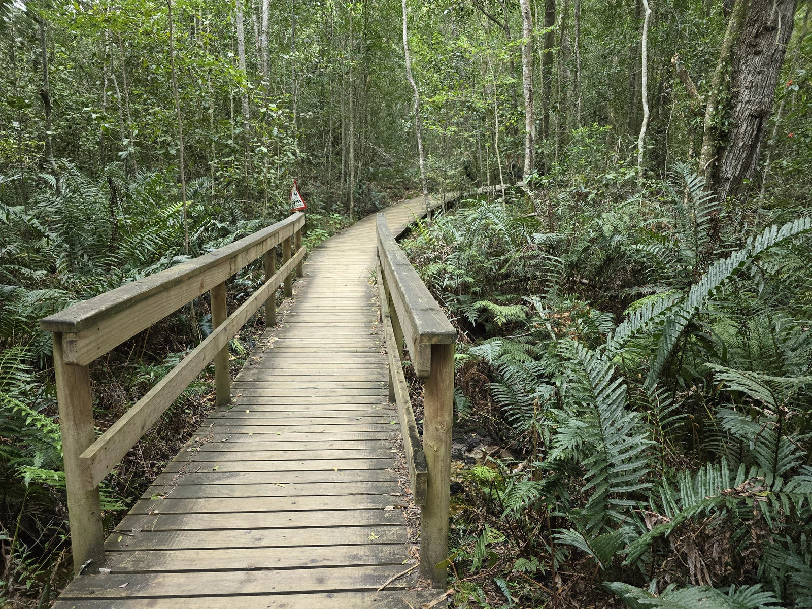 Tsitsikamma National Park,  South Africa