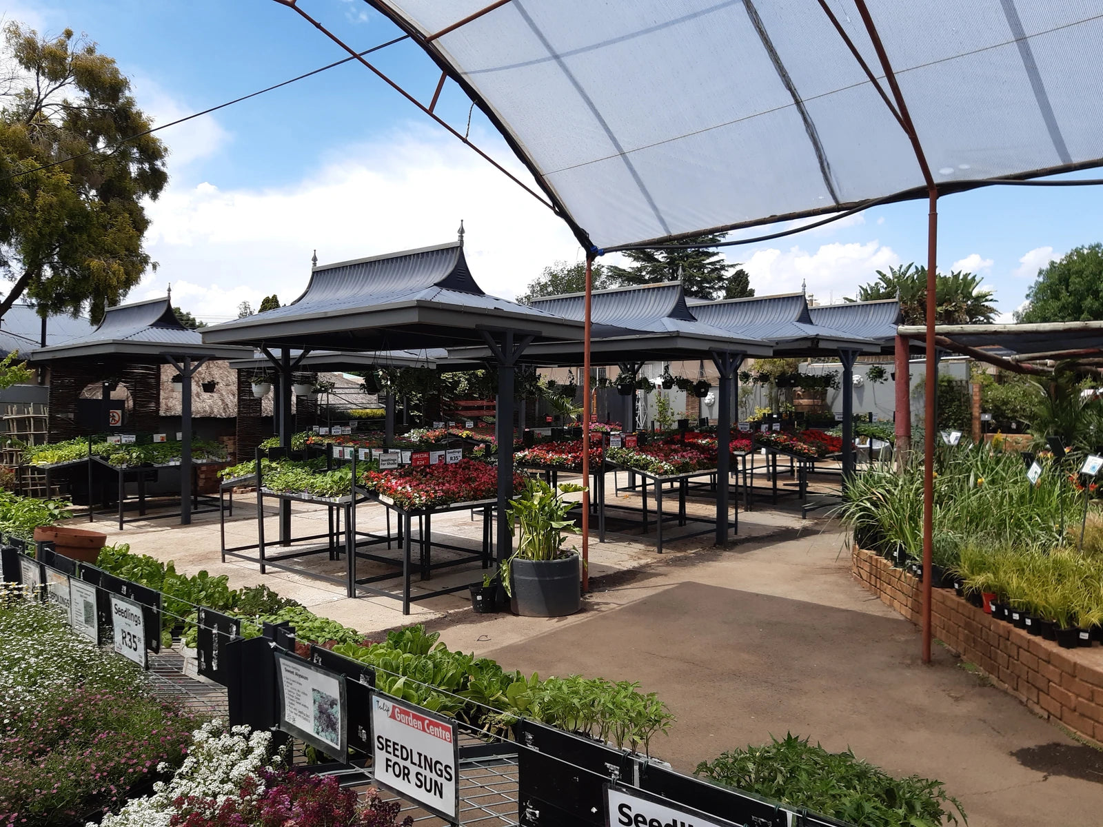 Tulip Garden Centre, Johannesburg South South Africa