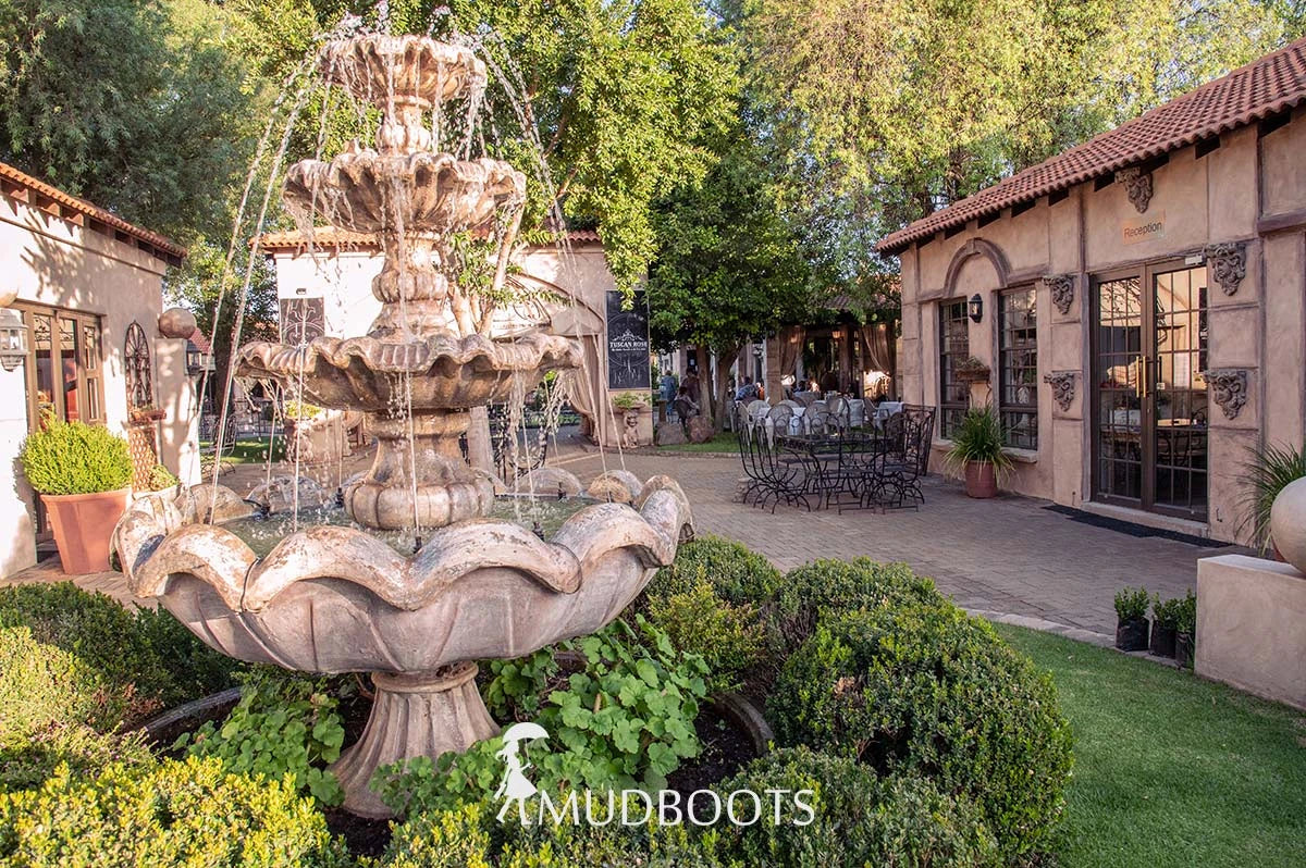 Tuscan Rose, Bloemfontein South Africa