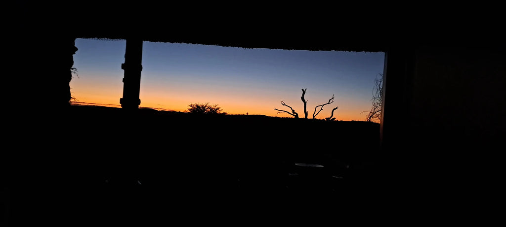 Twee Rivieren Rest Camp @ Kgalagadi Transfrontier Park, Upington South Africa