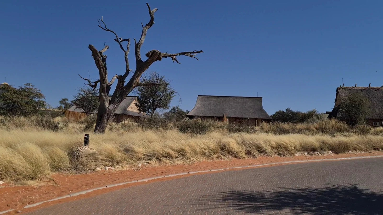 Twee Rivieren Rest Camp @ Kgalagadi Transfrontier Park, Upington South Africa