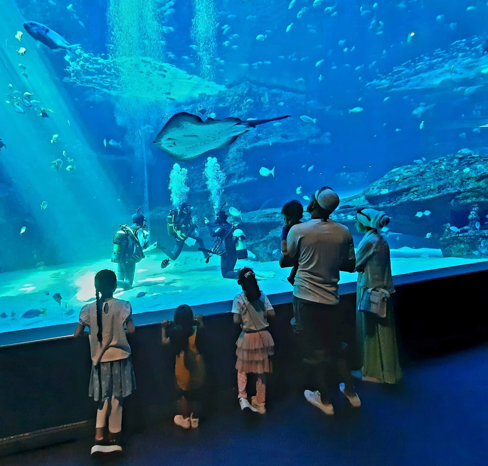 Two Oceans Aquarium, Cape Town South Africa