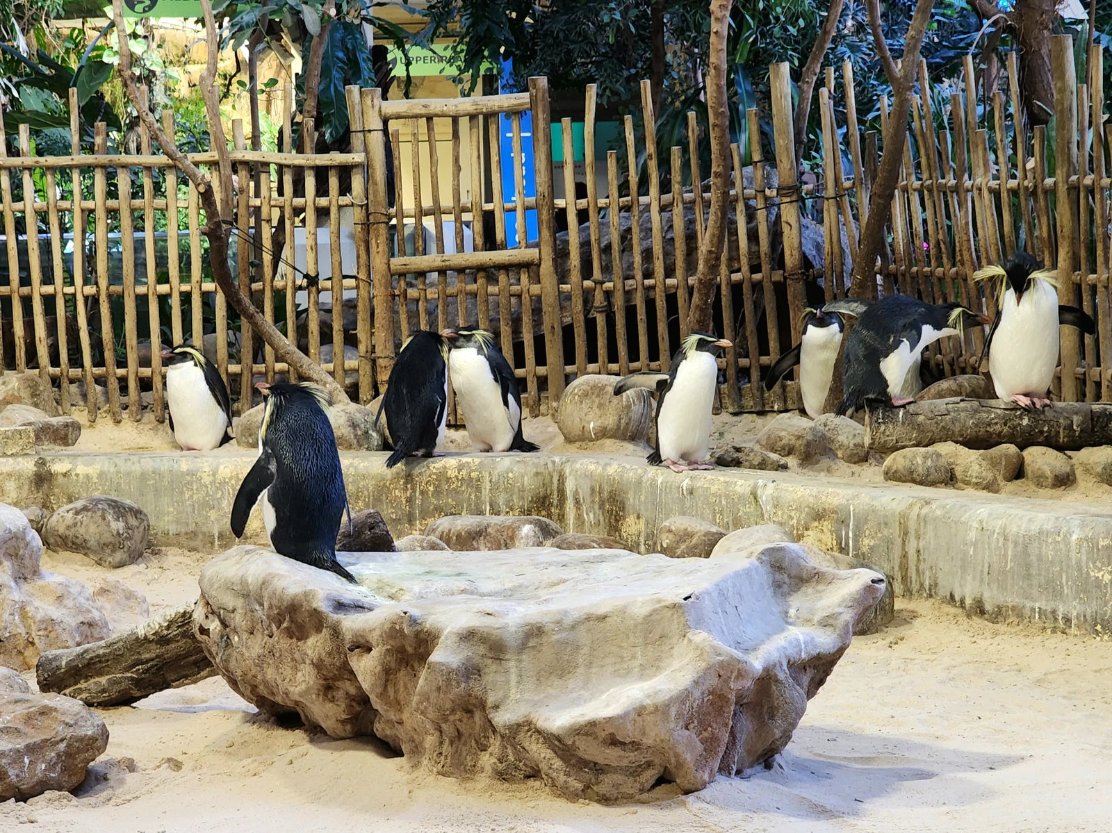 Two Oceans Aquarium, Cape Town South Africa