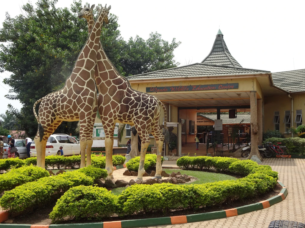 Uganda Wildlife Conservation Education Centre, Entebbe Uganda