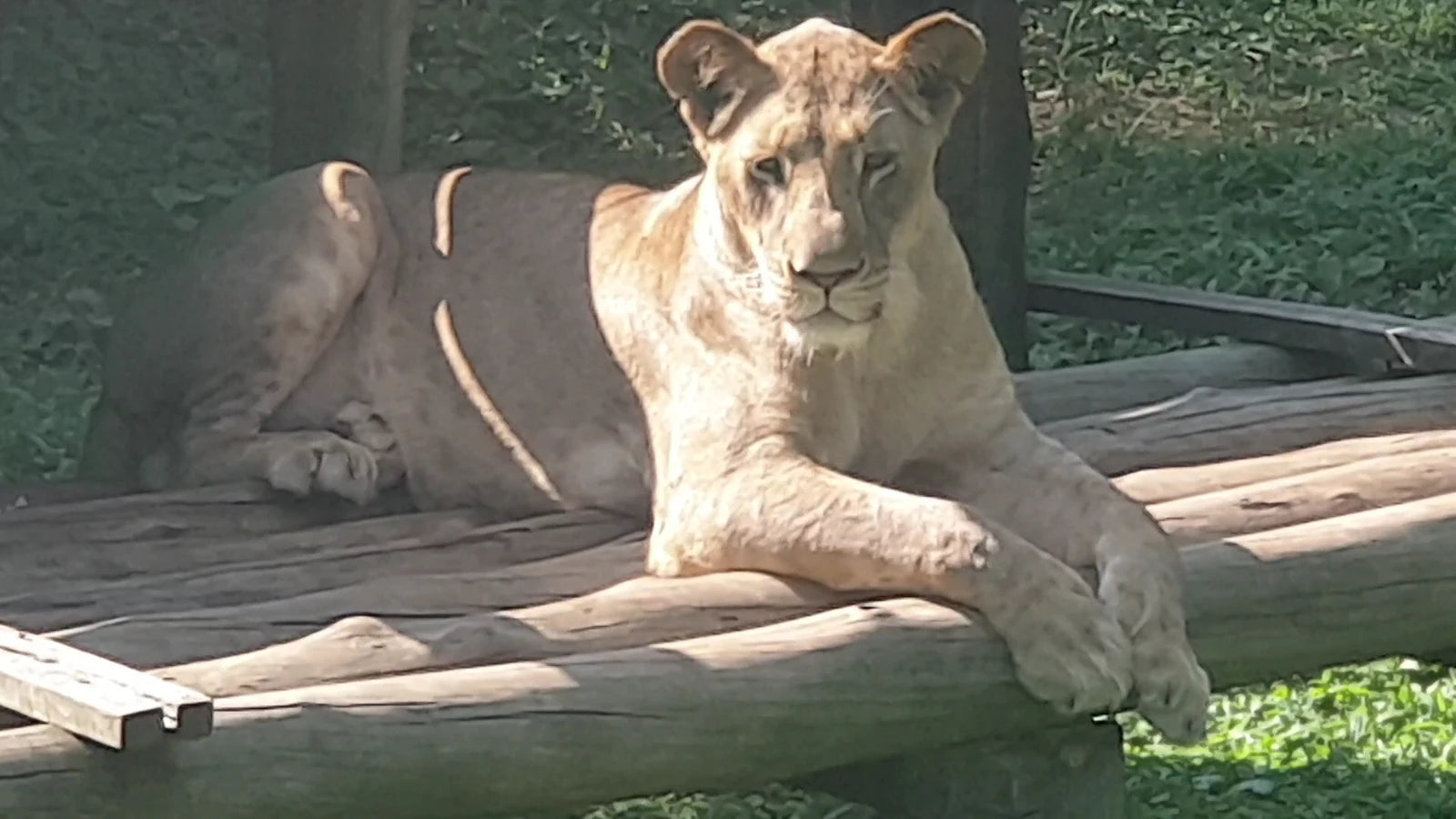 Uganda Wildlife Conservation Education Centre, Entebbe Uganda
